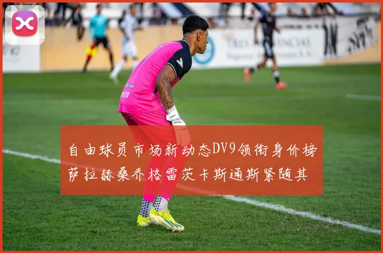 自由球员市场新动态DV9领衔身价榜萨拉赫桑乔格雷茨卡斯通斯紧随其后