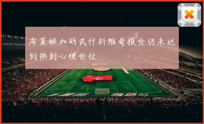 布莱顿加码武什科维奇报价仍未达到热刺心理价位