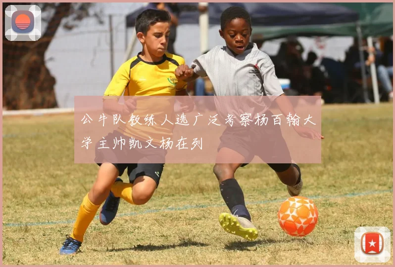 公牛队教练人选广泛考察杨百翰大学主帅凯文杨在列